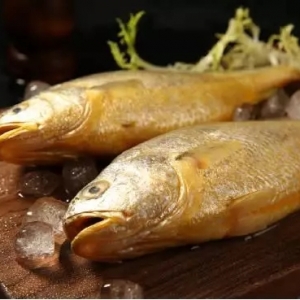 ���S�~�r��һֱ�ߵͣ������y�q��