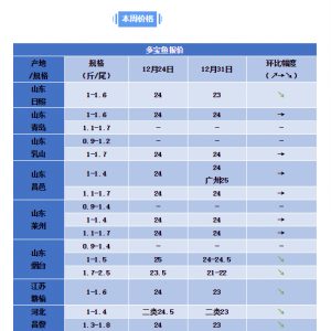 2019��12��31�ն����~�r�񲥈��������