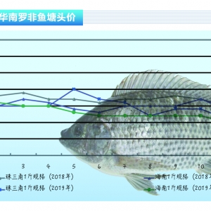 �_���~���������^���~�r�ϝq���gС������ˮ�aǰ�ء�2020��1�¿��Ј�څ��