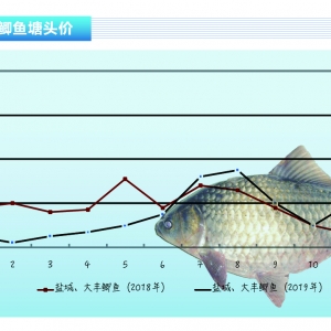 �a�~�����M�������r����ԡ�����ˮ�aǰ�ء�2020��1�¿��Ј�څ��