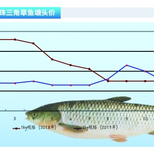 ���~�����г��~�����䡪����ˮ�aǰ�ء�2020��1�¿��Ј�څ��