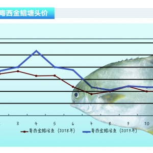 ���K�~���������^���~�r(ji��)�ϝq���gС������ˮ�a(ch��n)ǰ�ء�2020��1�¿��Ј�(ch��ng)څ��(sh��)