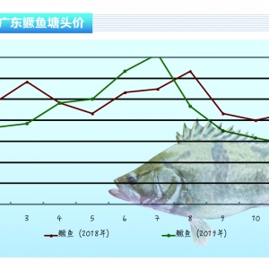 �Z�~���B��ϧ�� ֹ������������ˮ�aǰ�ء�2020��1�¿��Ј�څ��