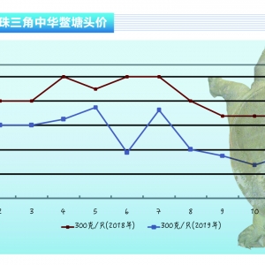 ���~���r���������������ˮ�aǰ�ء�2020��1�¿��Ј�څ��