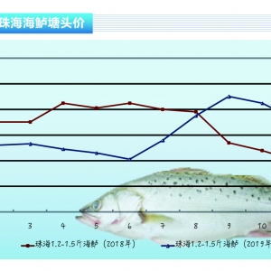 ���|��ˮ܇�����p�٣����|���F�p΢���С�����ˮ�aǰ�ء�2020��1�¿��Ј�څ��
