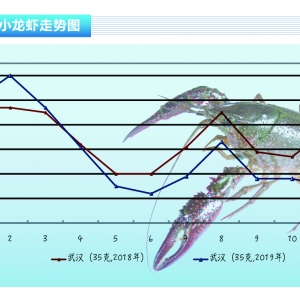 С���r���Ј�����С��ƽ���r����m�ϝq������ˮ�aǰ�ء�2020��1�¿��Ј�څ��