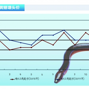 �S�X���r�����鷀������������ˮ�aǰ�ء�2020��1�¿��Ј�څ��