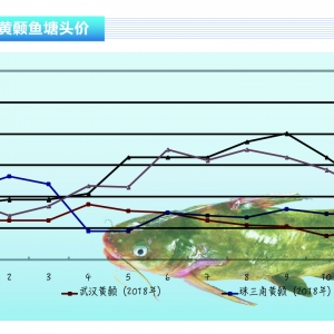 �S��~�����ص��죬�Bֳ�����~�e�O������������ˮ�aǰ�ء�2020��1�¿��Ј�څ��