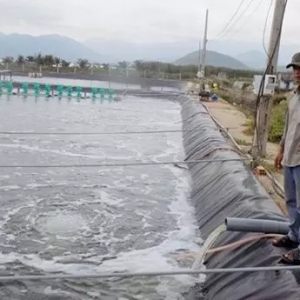 2020�����B���r���@��헸߮a���g��회W����