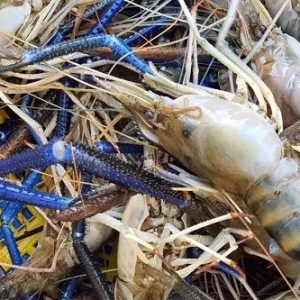 �����r������������С���r����߀Ҫ�P(gu��n)ע����