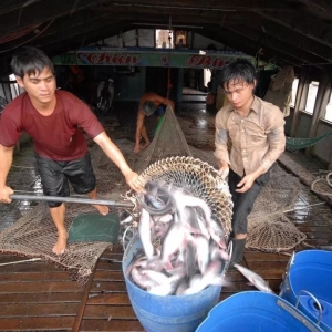 ��(ji��)���Ռ��̼�Խ�ϰ�ɳ�~���M(f��i)����