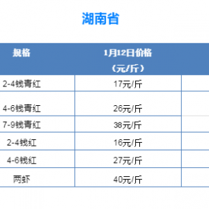 �ߴ���з���B�q��С���r�^�m(x��)��λ�\(y��n)��