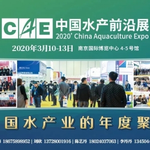 �۽���2019�Ї��ÝO�t(y��)TOP100��(b��o)����ʽ����(d��ng)��