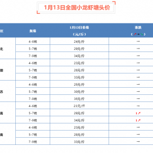 2020��1��13��ȫ��(gu��)С���r���^�r(ji��)