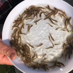 ע�⣡�֬F�����~���н飬һ���Ա��_ȡ��2�fԪ