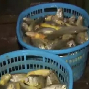 ��ҕ����S�~�V�棬Ժʿ�s�f����Ҫ��^�ˣ��~�rҪ�q�᣿