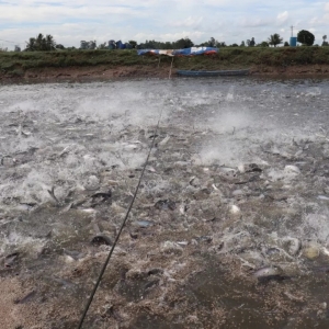 ��Խ���F(tu��n)��ϯ���ֹɷ����Ј�(ch��ng)�I(y��)�����F(xi��n)�e�O