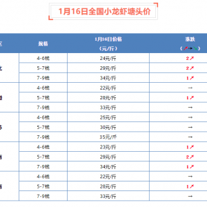 1��16��ȫ��(gu��)С���r���^�r(ji��)