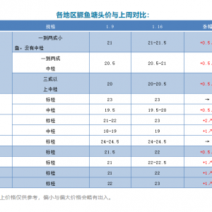 2020��1��16���Z�N���ڃr��һ�����鲥��