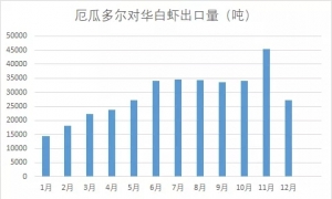 2019����r�������t�����N����׌��y����_�����������f�e��