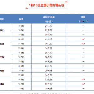 1��19��ȫ��С���r���^�r