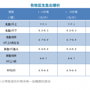 2020��1��20�ո������~�������^��r