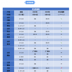 2019��1��21�ն����~һ�܃r�����鲥��