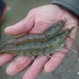 2019��1��22�������׌��rһ�܃r�����鲥��(b��o)