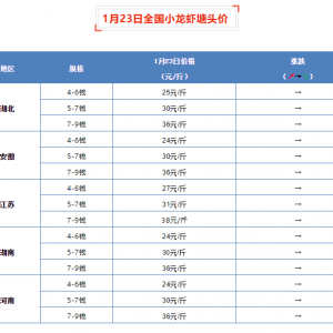 1 ��23��ȫ��С���r���^�r