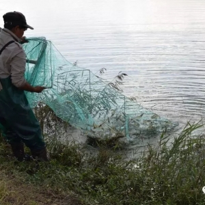 2019��1��29�Ռ��rһ�܃r�����鲥��(b��o)