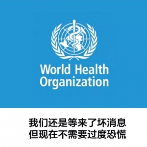 2019��1��31���t�~һ�܃r�����鲥��