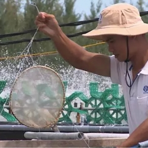 С�������B�rģʽ�������¸�����������