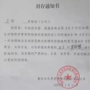 20�fֻ���ܱ��⣡���\������ʮ���f��ţ�ܟo·�������I����������������һ����