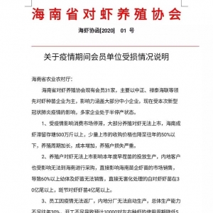 ������Ӱ푣������r�I�pʧ����