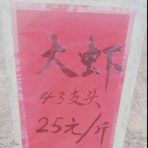 �~�r�u����������֮����������ô�Ծ���