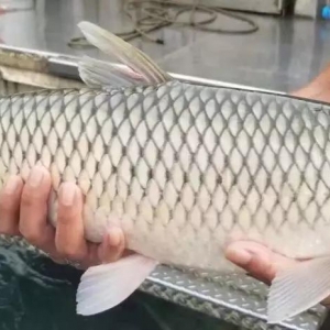 ��ͨ���������~�e���������{�����~��·���ģ�