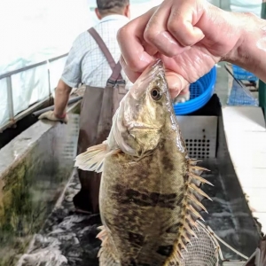 2020��2��10���Z�~һ�܃r�����鲥��