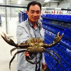 ���ƺ��������a(ch��n)ܛ��з�a(ch��n)Ʒ�ļ��g(sh��)̽ӑ