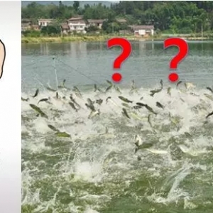 ���|�¹����鎧�oˮ�a�I��˼����