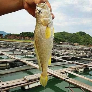 ���S�~�r�B�q��������ͨ�����r�R����