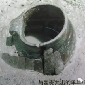 �ǳ��r�ڂ��e�ط�һ���в����Ǉ��Ҍ����~�a�I�⚢��������Ӱ���ÄݑB