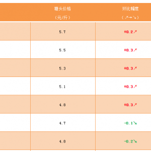 ���~�N�r(ji��)���ϝq�����D(zhu��n)�B(y��ng)���@