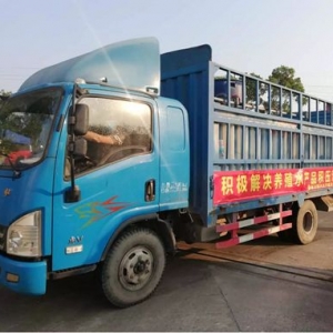 ���~�քݲ����^��2020���һ���C��������@�