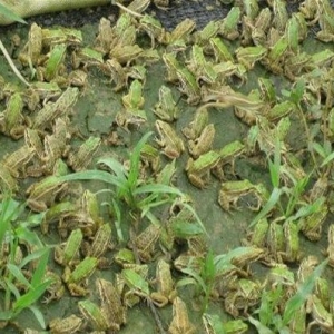 ˮ�a�ƌW�ң�����c�¹ڲ������o�Pϵ��