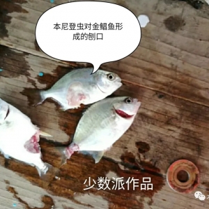 �V�|���V����������ˮ�~�Bֳ��Ҫ�߶Ⱦ��豾����x��