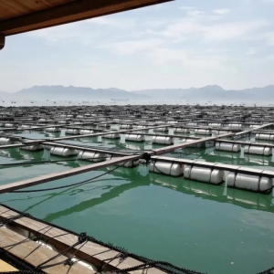 2020��3��10�մ��S�~һ�����^�r�����鲥��