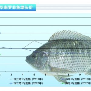 �_���~����ͨ�𲽽�����_���~�������֏����M���B������ˮ�aǰ�ء�2020��3�¿��Ј�څ�� ...