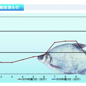 ���~���������^���~�r�ϝq���gС������ˮ�aǰ�ء�2020��2�¿��Ј�څ��