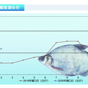 ���~������Ӱ푣����~��ͨ���������鲨�Ӳ���������ˮ�aǰ�ء�2020��3�¿��Ј�څ��