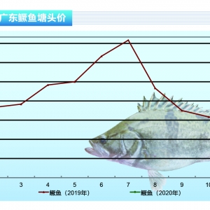 �Z�~�����m���� ��ǰ�̕�����������ˮ�aǰ�ء�2020��2�¿��Ј�څ��